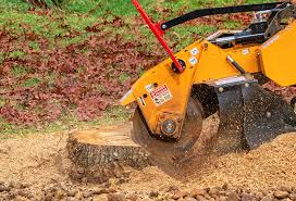 Best Aeration Services  in Chepachet, RI